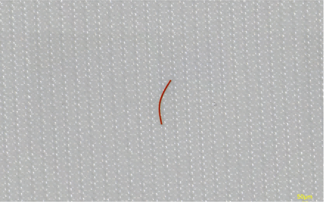 Fiber Contaminants